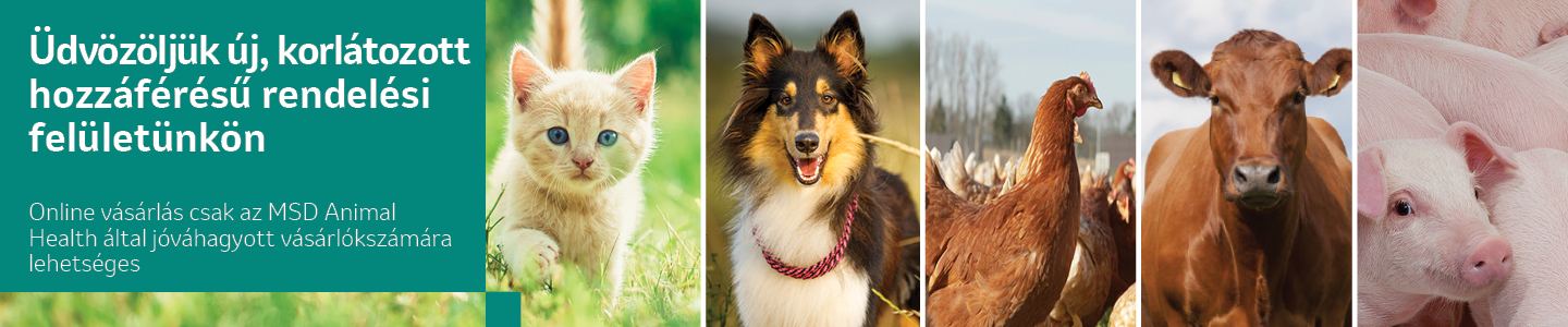 MSD Animal Health Logo